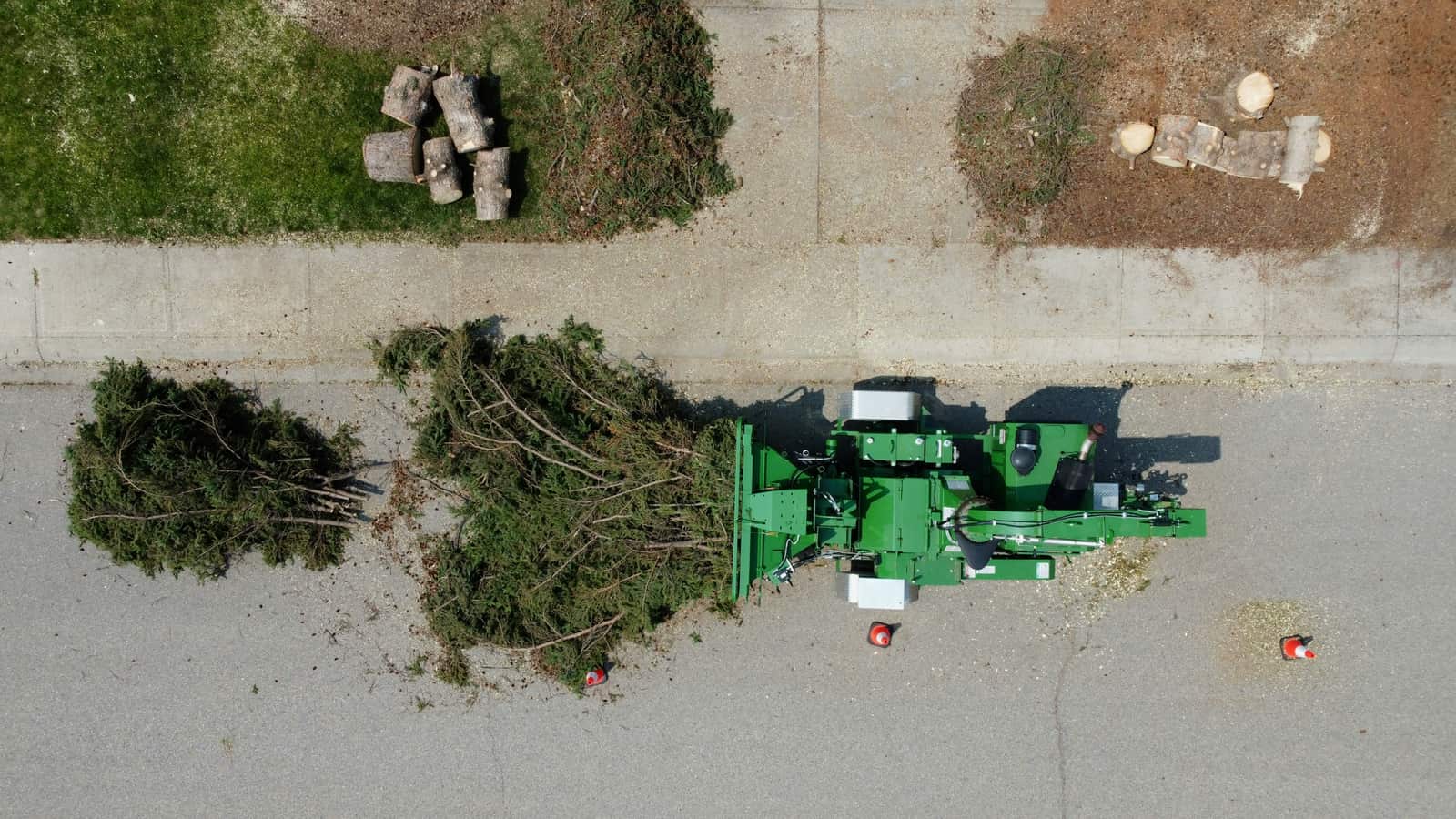 Stump removal service