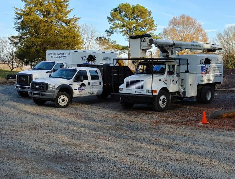 Professional tree services Charlotte NC